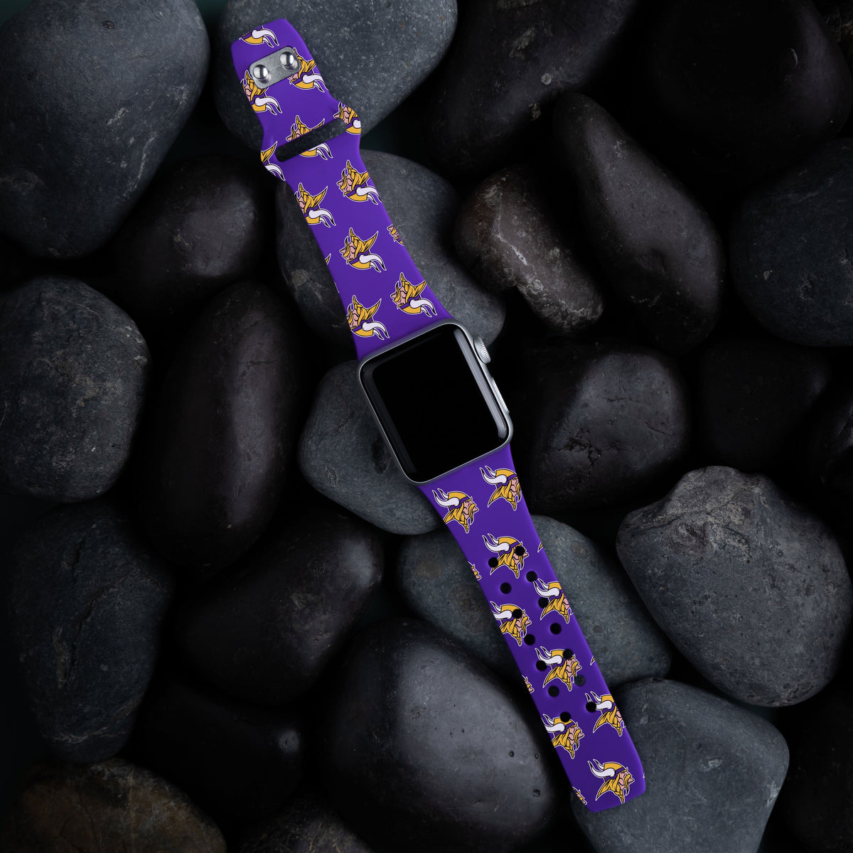 Game Time Minnesota Vikings HD Apple Pro 1 &amp; 2 Combo Package